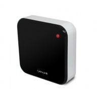 Дистанционный датчик температуры Salus iT300